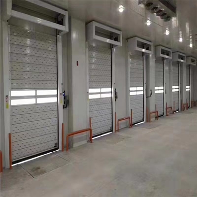 تخصیص شده TM-D04 اتوماتیک رول بالا شاتر مارپیچی درب گاراژ امنیتی با ویژگی ها