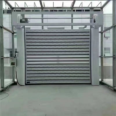 تخصیص شده TM-D04 اتوماتیک رول بالا شاتر مارپیچی درب گاراژ امنیتی با ویژگی ها